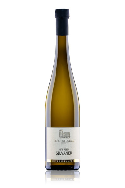 2024er Grüner Sylvaner Himmelthal trocken