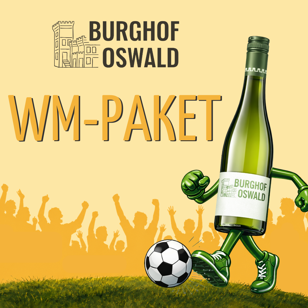 Fußball WM-Paket