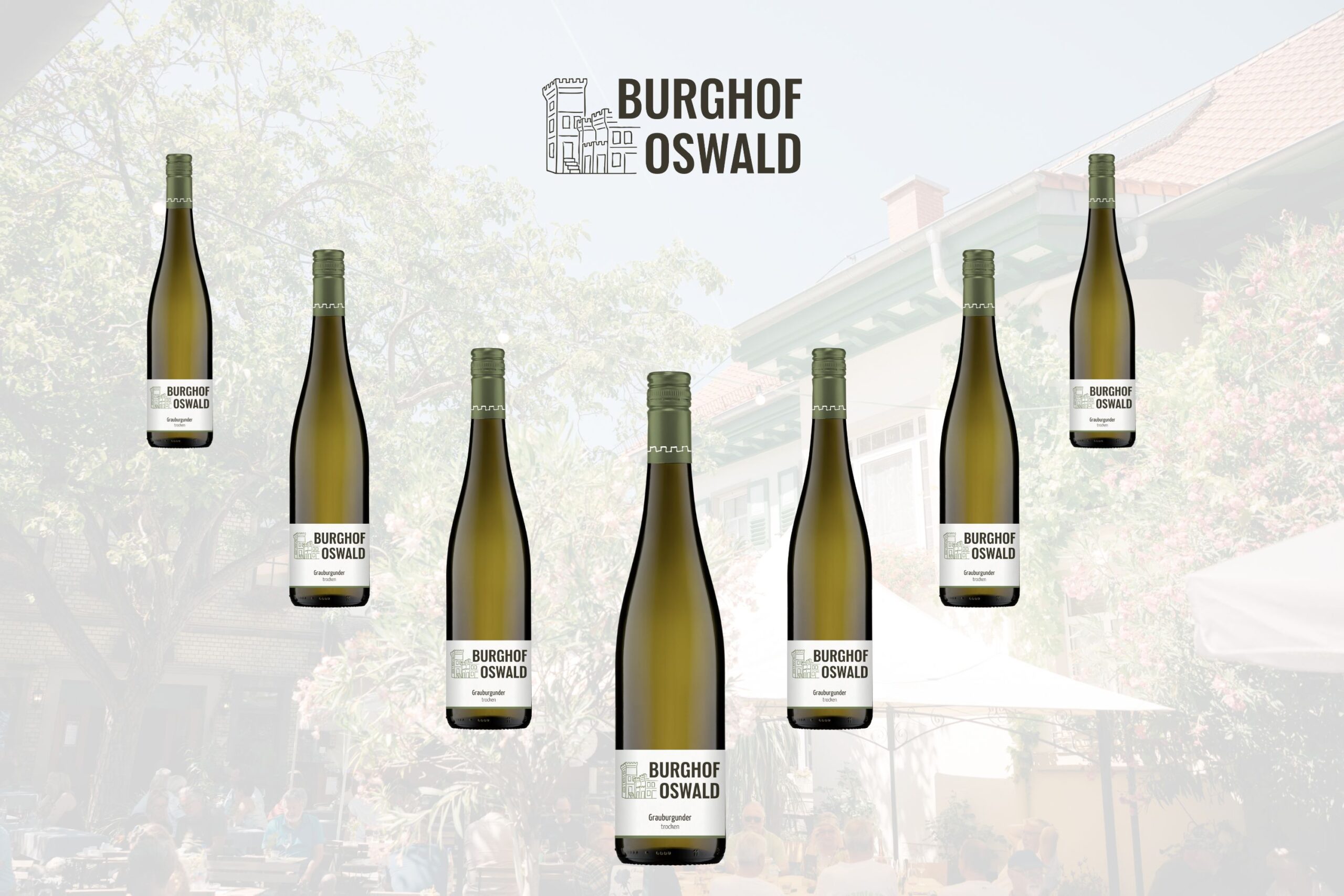 Probierpaket 2025er Jahrgang